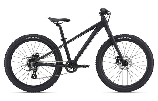 Giant Bicycles STP-24